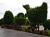 DSC00752.jpg