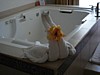 DSC00800.jpg
