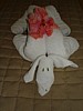 DSC00805.jpg