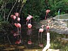 DSC00827.jpg