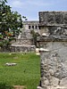 DSC00861.jpg
