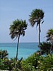 DSC00869.jpg