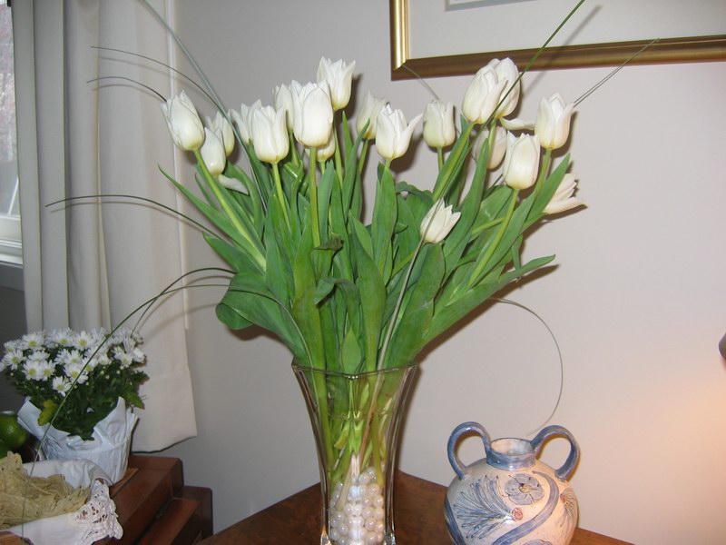 03a-JS-IMG_3653.jpg