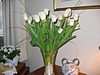 03a-JS-IMG_3653.jpg