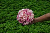 040AH-DSC_0071.JPG