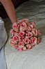 DSCF6399a.jpg