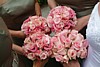 DSCF6724a.jpg