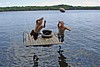 038DSC03846.jpg