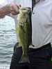 153DSC07175.jpg