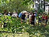 169P8070301.jpg
