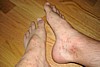 175DSC03974.jpg
