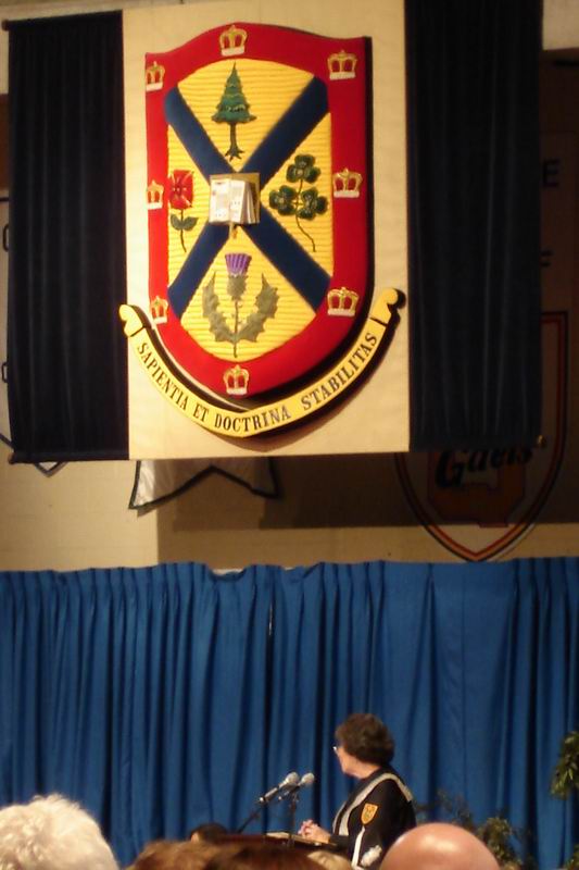DSC02924.jpg