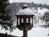 DSC05315.jpg