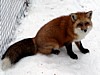 DSC05318.jpg