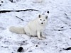 DSC05319.jpg