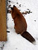 DSC05324.jpg