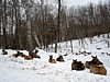 DSC05332.jpg