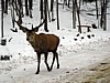 DSC05337.jpg