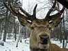 DSC05340.jpg