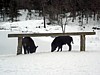 DSC05348.jpg