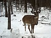 DSC05356.jpg