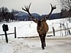 DSC05357.jpg
