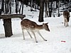 DSC05359.jpg