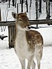 DSC05360.jpg