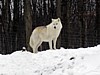 DSC05389.jpg