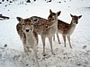 DSC05390.jpg