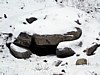 DSC05396.jpg