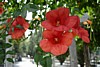 030DSC03515.jpg