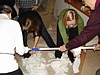 11-DSC05423.JPG