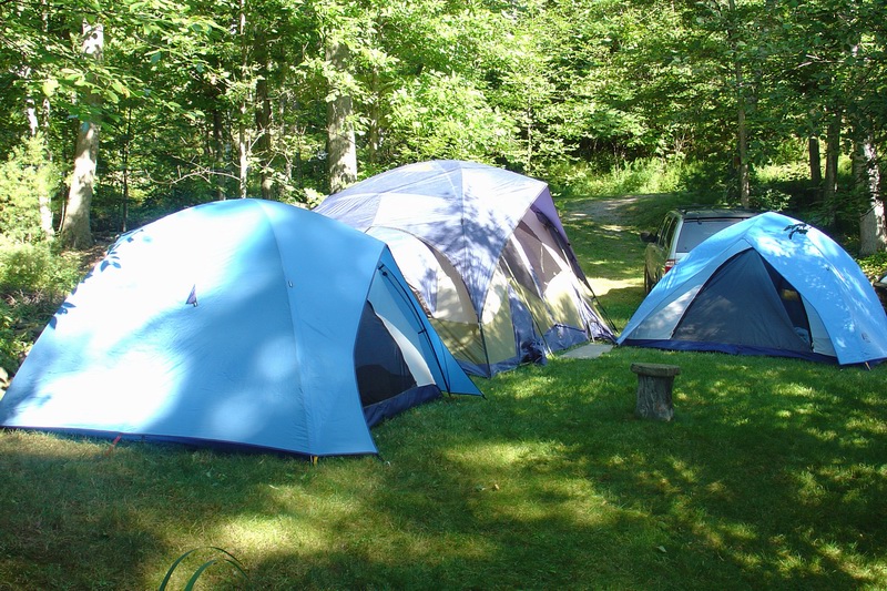 021bDSC09498.jpg