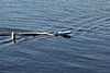 050b1DSC09503.jpg