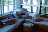 075bDSC09591.jpg