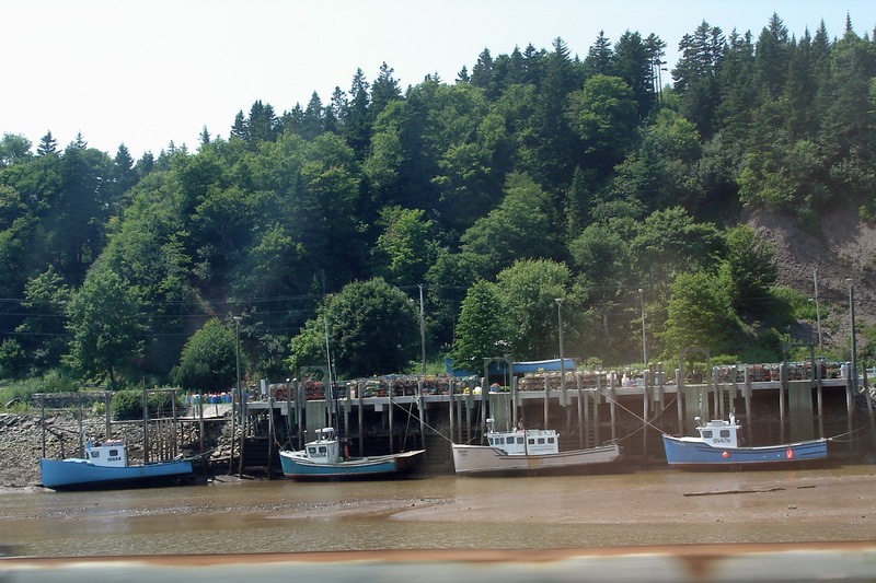 DSC06855.jpg