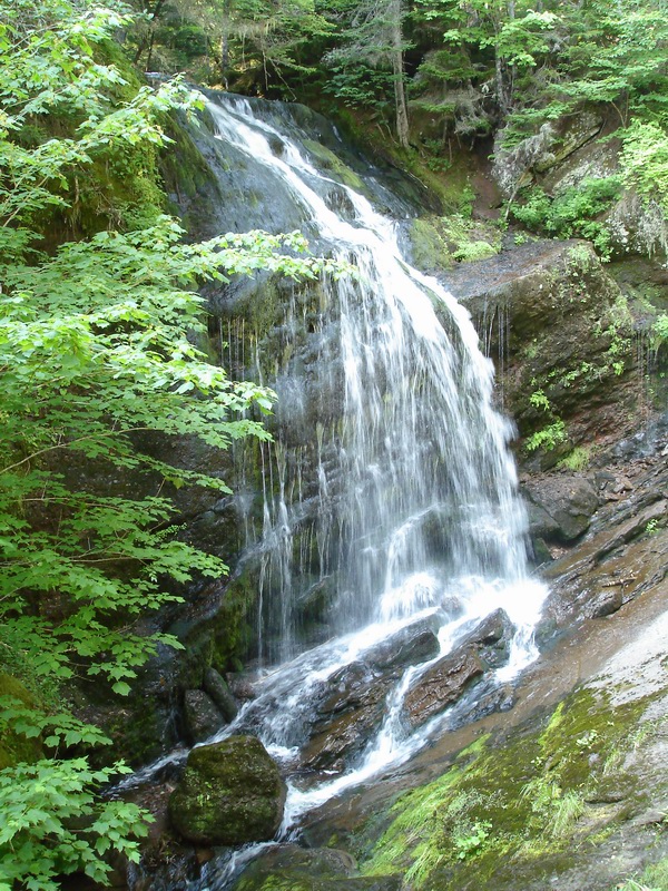 DSC06907.jpg