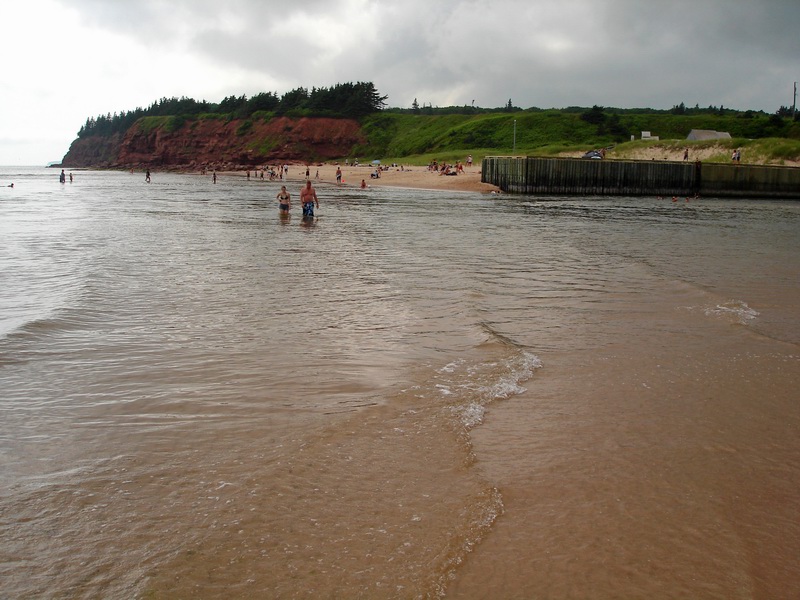 DSC07101.jpg