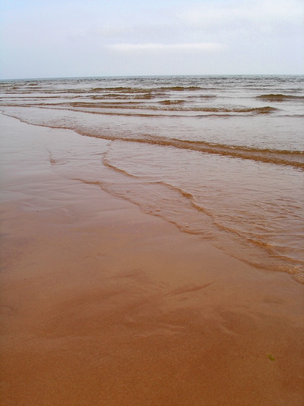 DSC07102.jpg