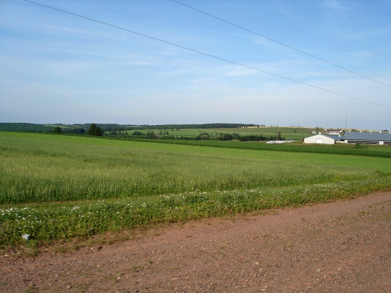DSC07106.jpg