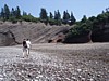 DSC06866.jpg