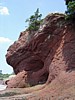 DSC06876.jpg