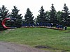 DSC06994.jpg