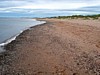DSC07037.jpg
