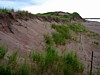 DSC07049.jpg