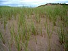 DSC07052.jpg