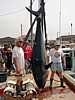 DSC07089.jpg