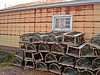 DSC07094.jpg
