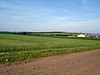 DSC07106.jpg